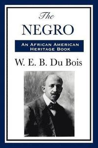bokomslag The Negro