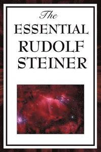 bokomslag The Essential Rudolph Steiner