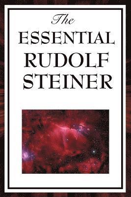 bokomslag The Essential Rudolf Steiner