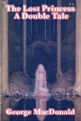 bokomslag Lost Princess