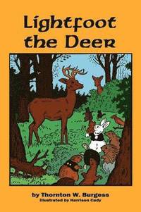 bokomslag Lightfoot the Deer
