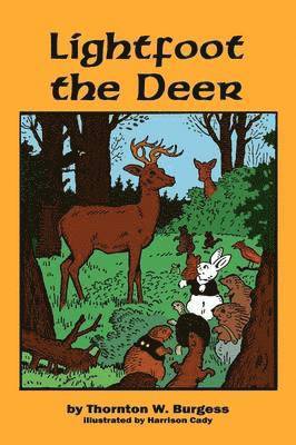 bokomslag Lightfoot the Deer