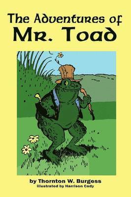 The Adventures of Old Mr. Toad 1