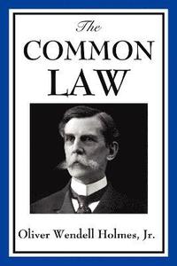 bokomslag The Common Law