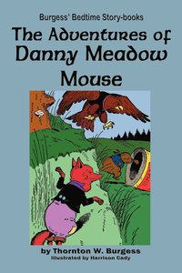 bokomslag The Adventures of Danny Meadow Mouse