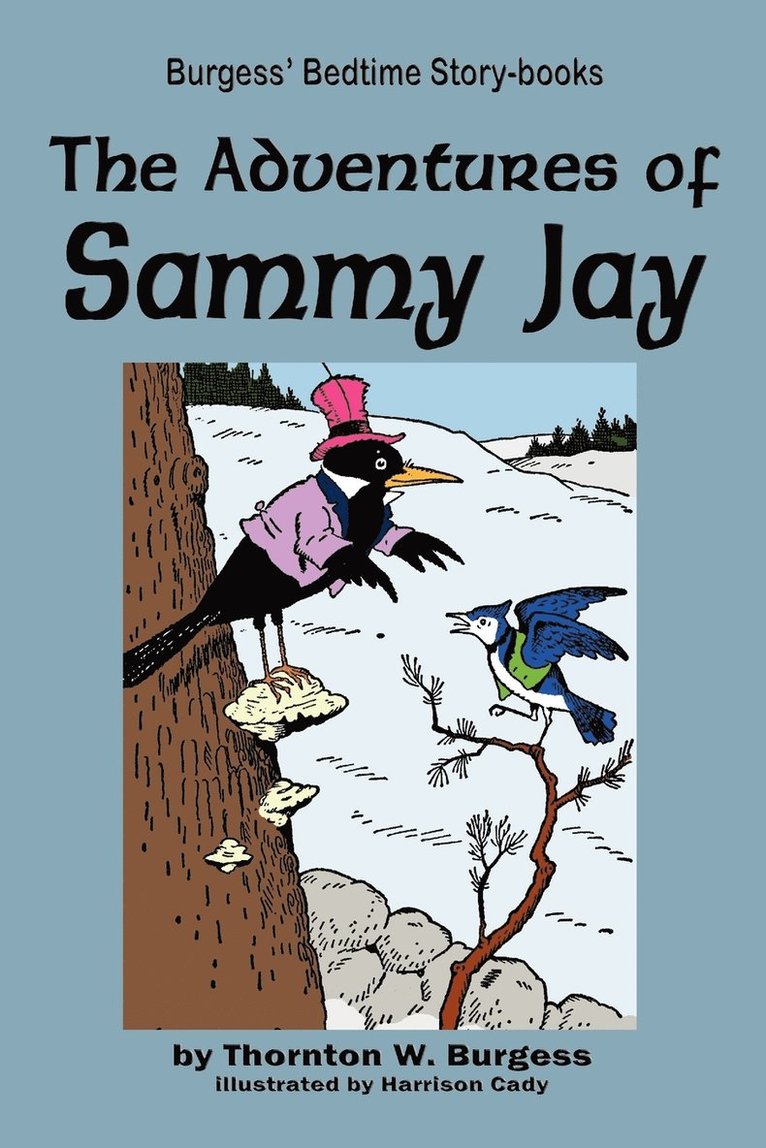 The Adventures of Sammy Jay 1