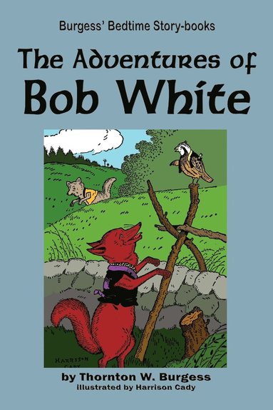 Thornton W Burgess - Adventures of Bob White, Häftad