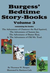 bokomslag Burgess' Bedtime Story-Books, Vol. 3
