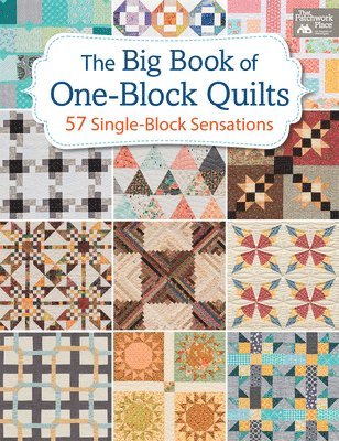 bokomslag The Big Book of One-Block Quilts