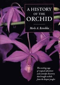 bokomslag A History of the Orchid