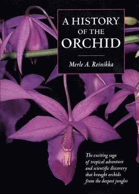 bokomslag A History of the Orchid
