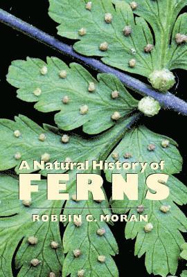 A Natural History of Ferns 1