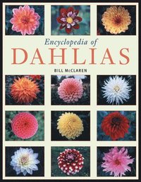 bokomslag Encyclopedia of Dahlias