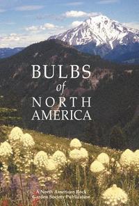 bokomslag Bulbs of North America