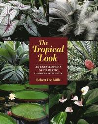 bokomslag The Tropical Look