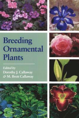 Dorothy J. Callaway, Dorothy J. Callaway, M. Brett Callaway - Breeding Ornamental Plants, Häftad