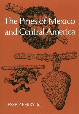 bokomslag Pines of Mexico and Central America