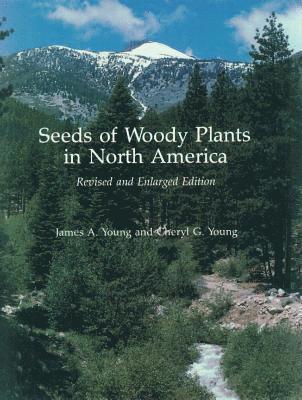 bokomslag Seeds of Woody Plants in North America