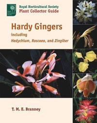 bokomslag Hardy Gingers, Including Hedychium, Roscoea, and Zingiber