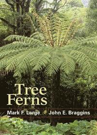 bokomslag Tree Ferns