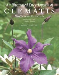 bokomslag An Illustrated Encyclopedia of Clematis