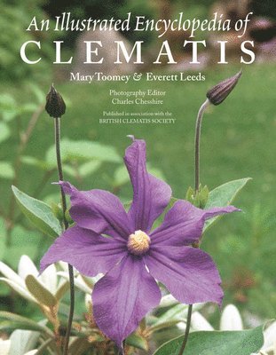bokomslag An Illustrated Encyclopedia of Clematis