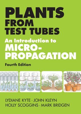 Plants from Test Tubes 1