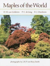 bokomslag Maples of the World
