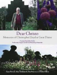 bokomslag Dear Christo
