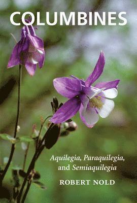 bokomslag Columbines: Aquilegia, Paraquilegia, and Semiaquilegia