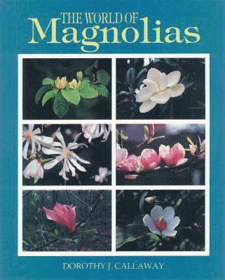 The World of Magnolias 1