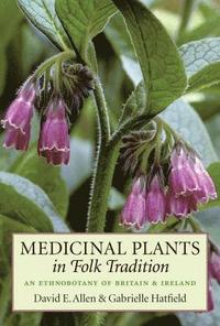 bokomslag Medicinal Plants in Folk Tradition: An Ethnobotany of Britain & Ireland