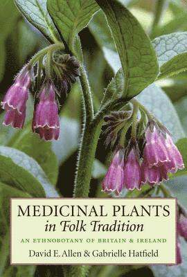 bokomslag Medicinal Plants in Folk Tradition: An Ethnobotany of Britain & Ireland