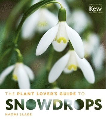 Naomi Slade - Plant Lover's Guide to Snowdrops, Inbunden