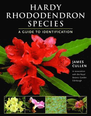 bokomslag Hardy Rhododendron Species