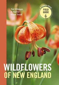 bokomslag Wildflowers of New England
