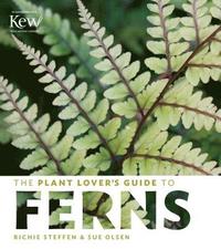 bokomslag The Plant Lover's Guide to Ferns