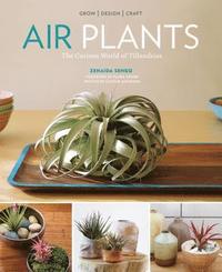 bokomslag Air Plants