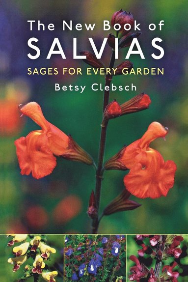 bokomslag New Book of Salvias