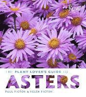 bokomslag Plant Lover's Guide to Asters