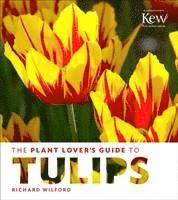 bokomslag Plant Lover's Guide to Tulips