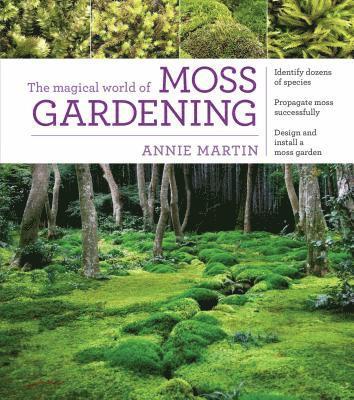 bokomslag Magical World of Moss Gardening