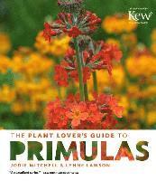 bokomslag Plant Lover's Guide to Primulas