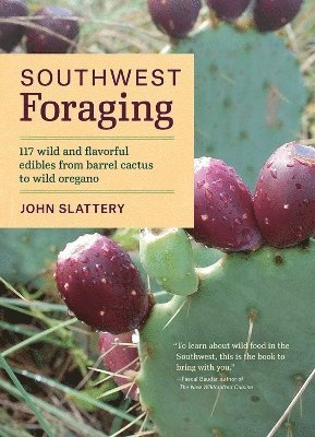 bokomslag Southwest Foraging