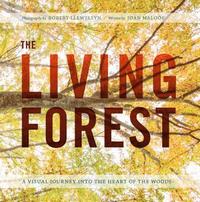 bokomslag Living forest - a journey into natures most intricate habitat