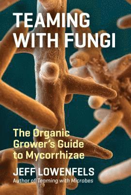Jeff Lowenfels - Teaming with Fungi, Inbunden