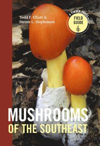 bokomslag Mushrooms of the Southeast