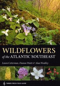 bokomslag Wildflowers of the Atlantic Southeast