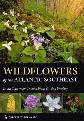 Wildflowers of the Atlantic Southeast 1