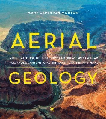 bokomslag Aerial Geology